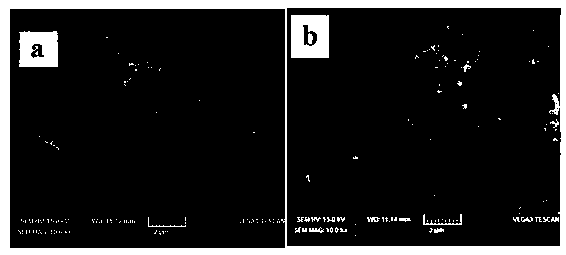 A helical carbon nanofiber/TiO2 composite material and application thereof