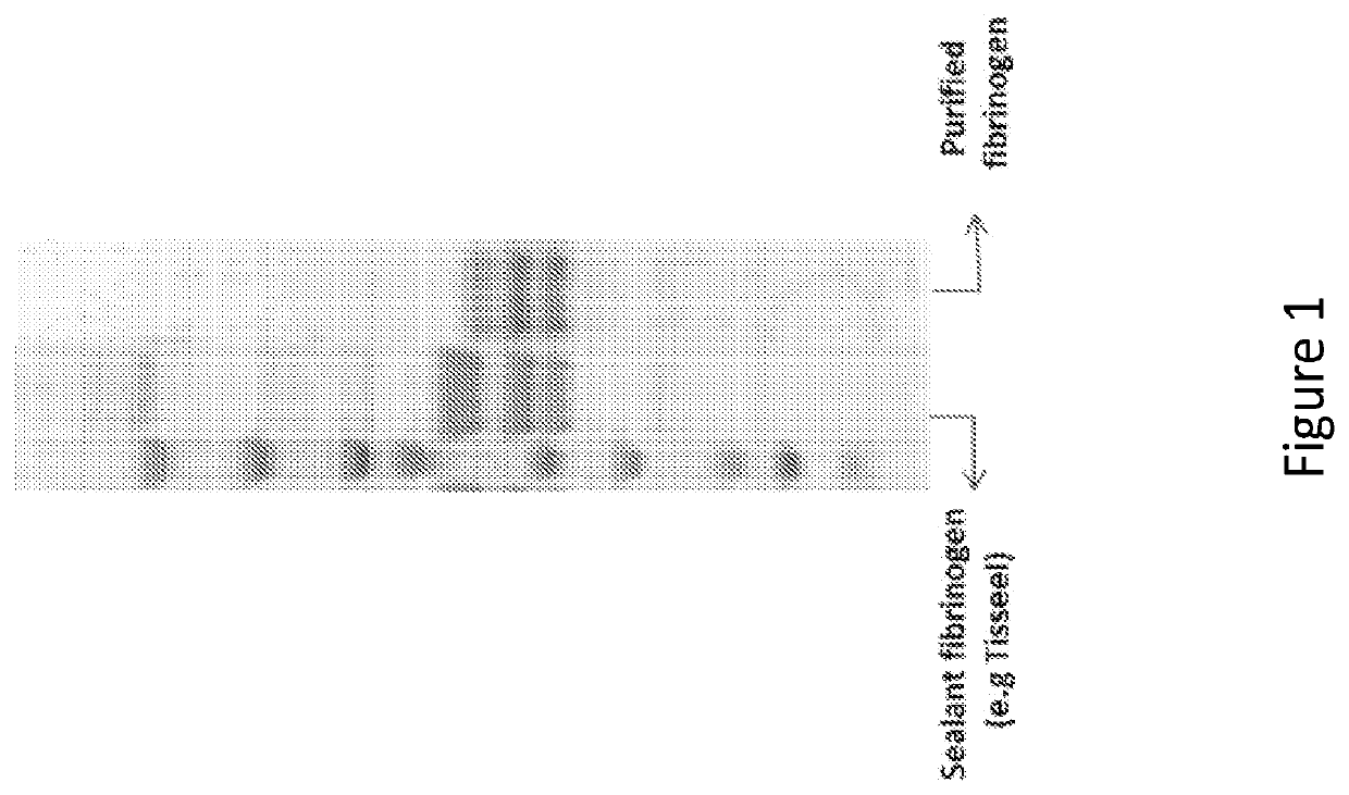 Organic solvent free compositions comprising protein-polymer conjugates and uses thereof