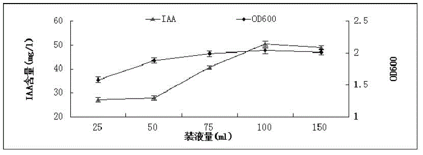 Peanut root growth-promoting bacterium HS9 and application thereof