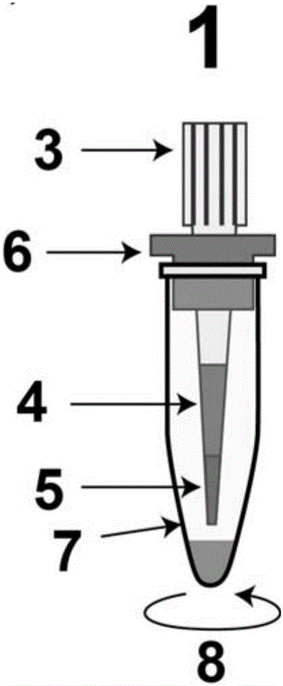 Protein chromatographic separation platform and application thereof