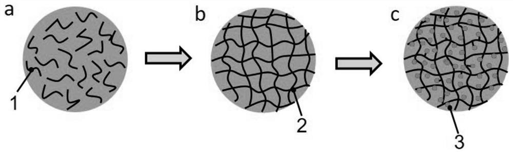 Visual monodisperse embolism microsphere with internal radiotherapy performance and preparation method of visual monodisperse embolism microsphere