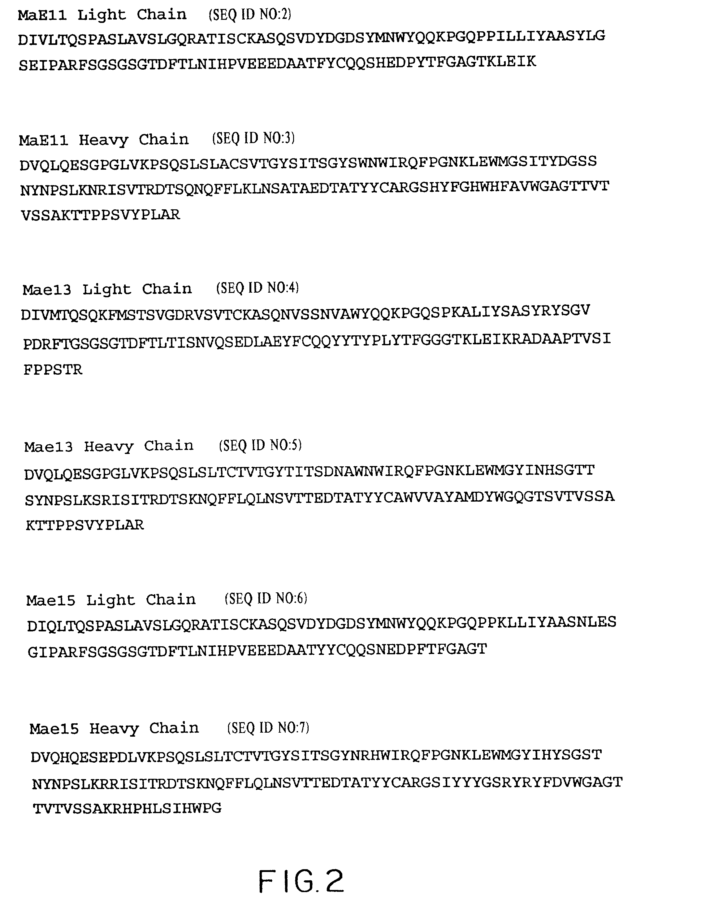 Anti-IgE antibodies