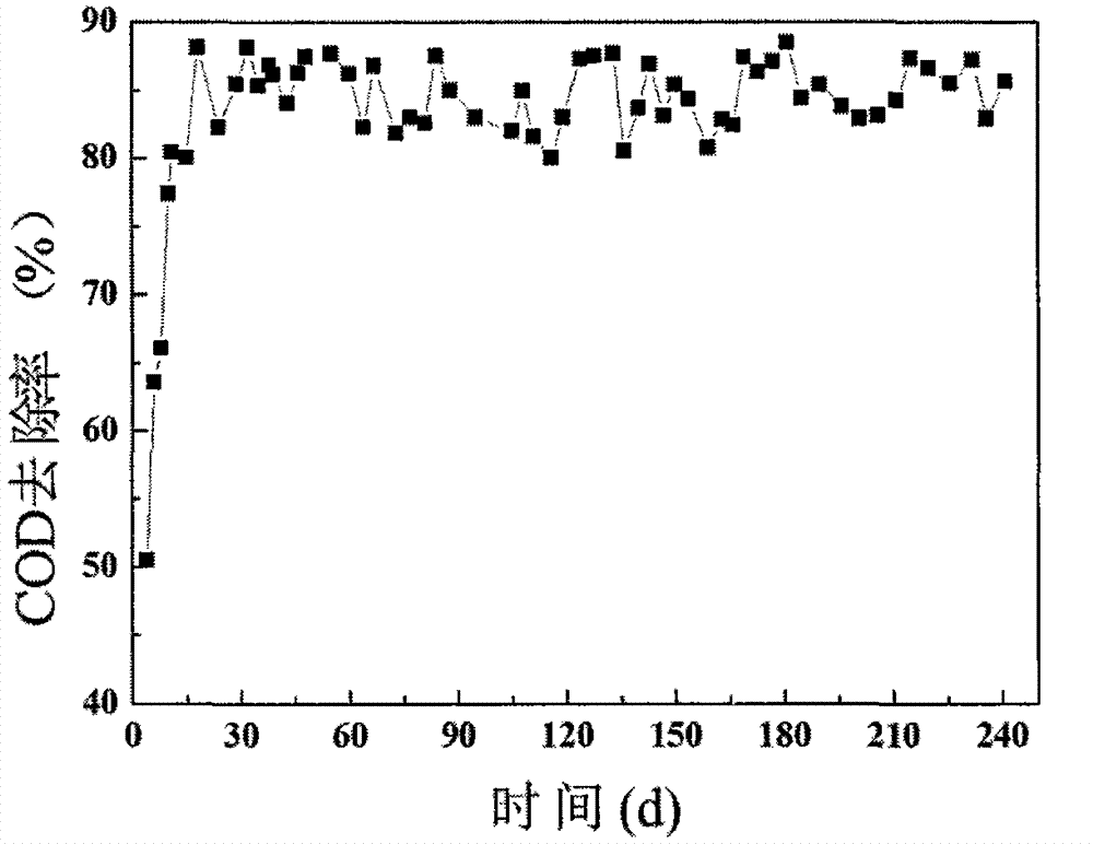 Method for treating wastewater from livestock and poultry breeding by constructing vertical flow artificial wetland based on water supply plant sludge