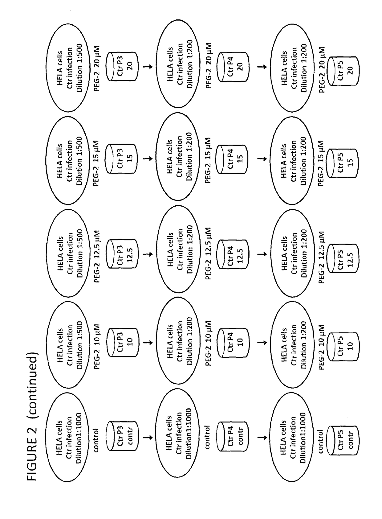 Derivatives of korormicin useful as antibiotics