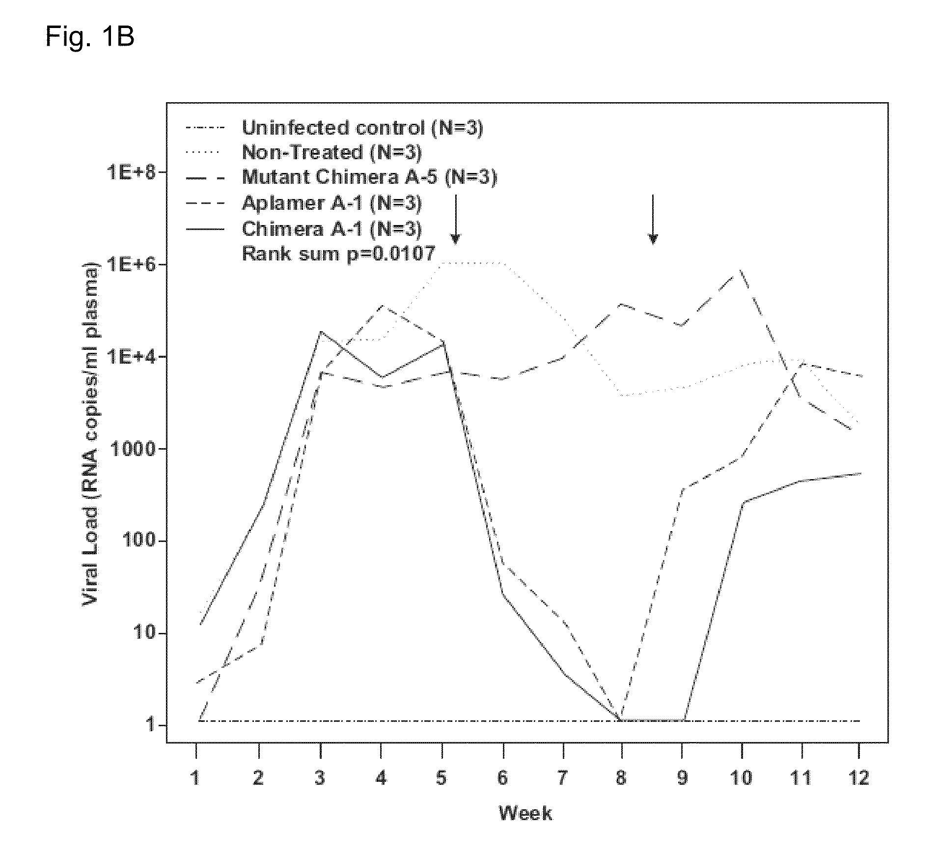 Aptamer-mRNA conjugates for targeted protein or peptide expression and methods for their use