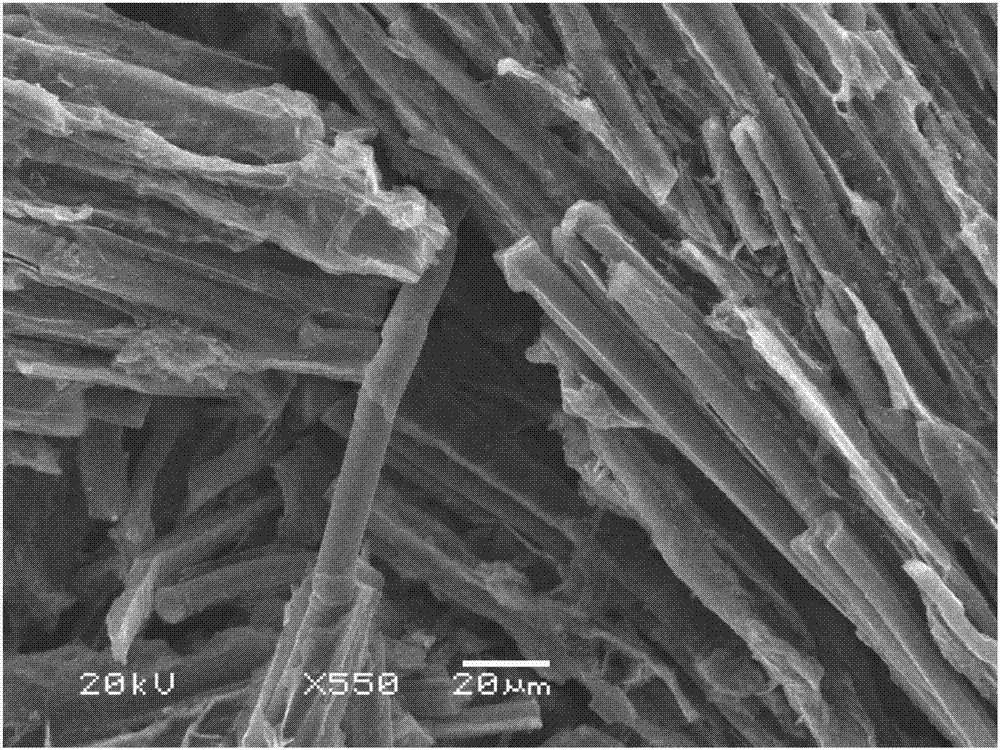 Cellulose-based carbon fibers, preparation method thereof and method for preparing electrode material