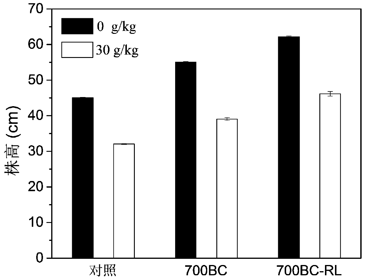 Method for repairing petroleum-contaminated soil through rhamnolipid modified biochar reinforced spartina anglica