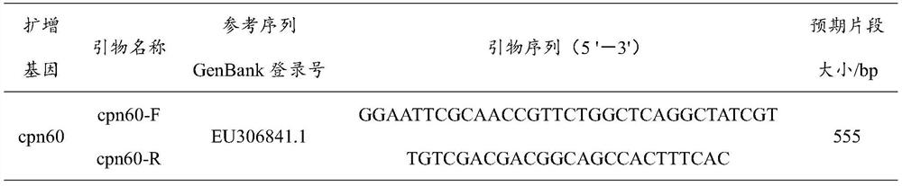 A barcode identification primer, identification method and kit for different species within Aeromonas