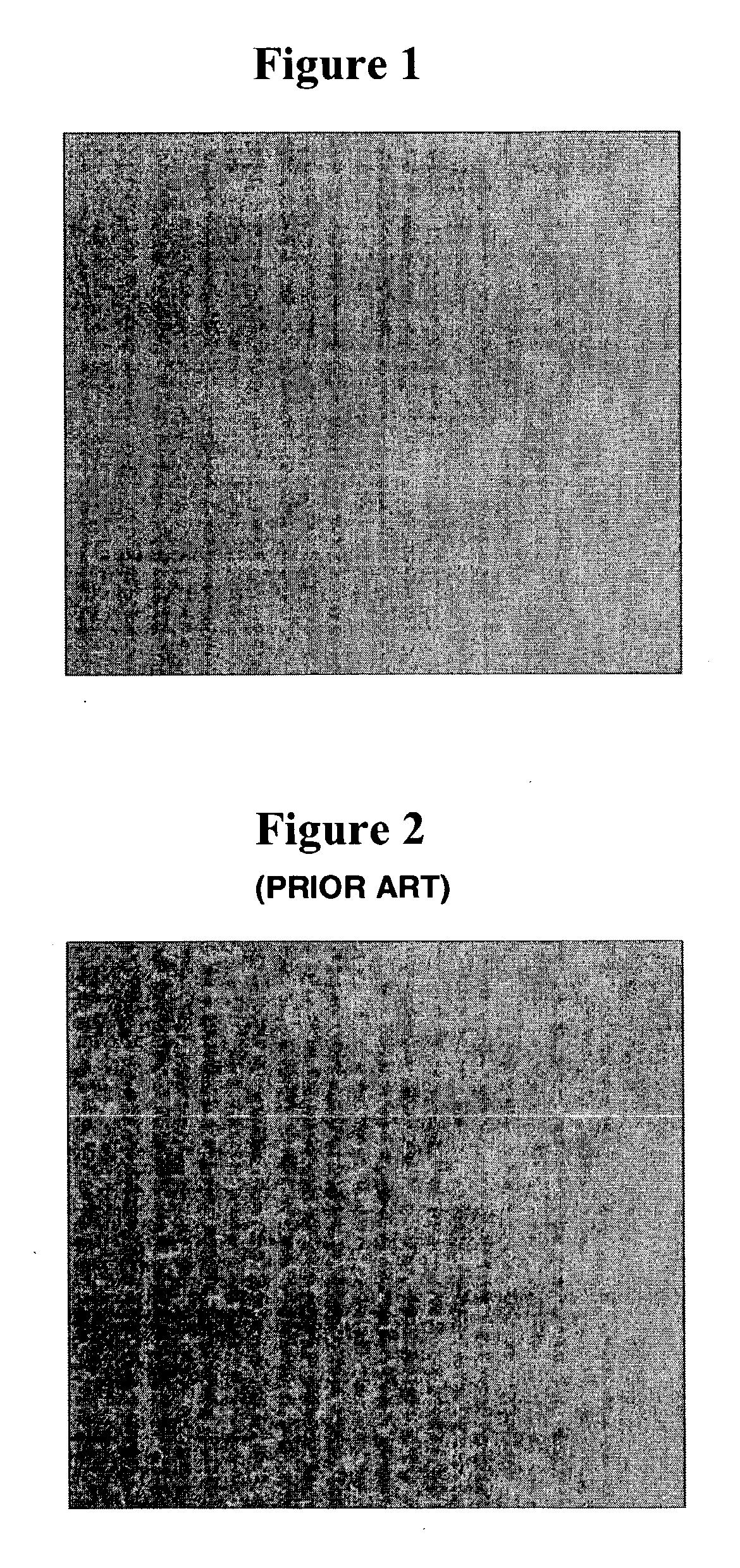 Nail polish composition and method of making same