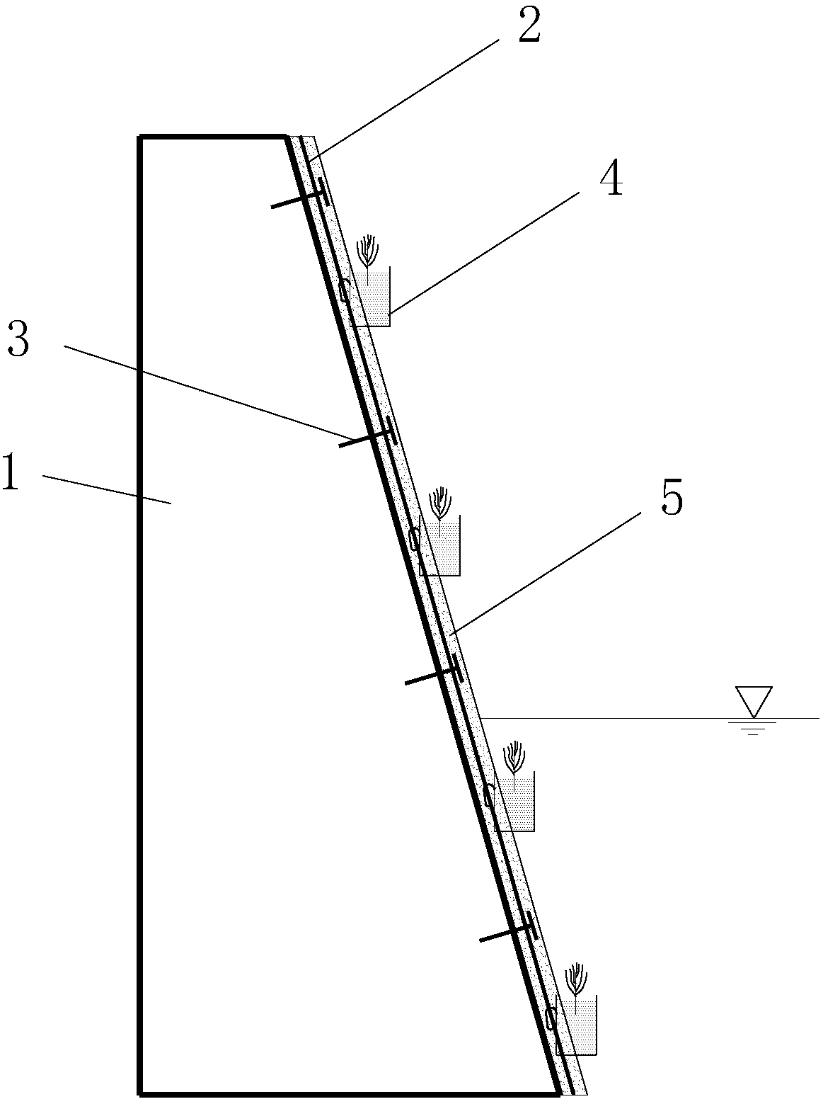 Green spray anchoring and ecological vegetation combined slope protection method