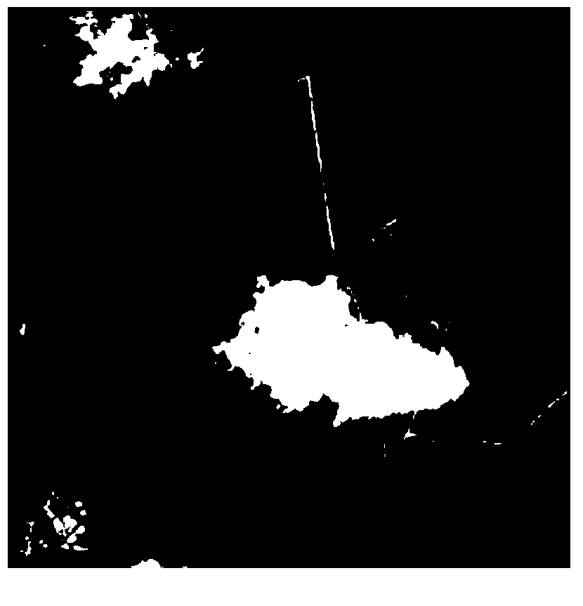 Remote sensing image cloud removing method based on sparse representation