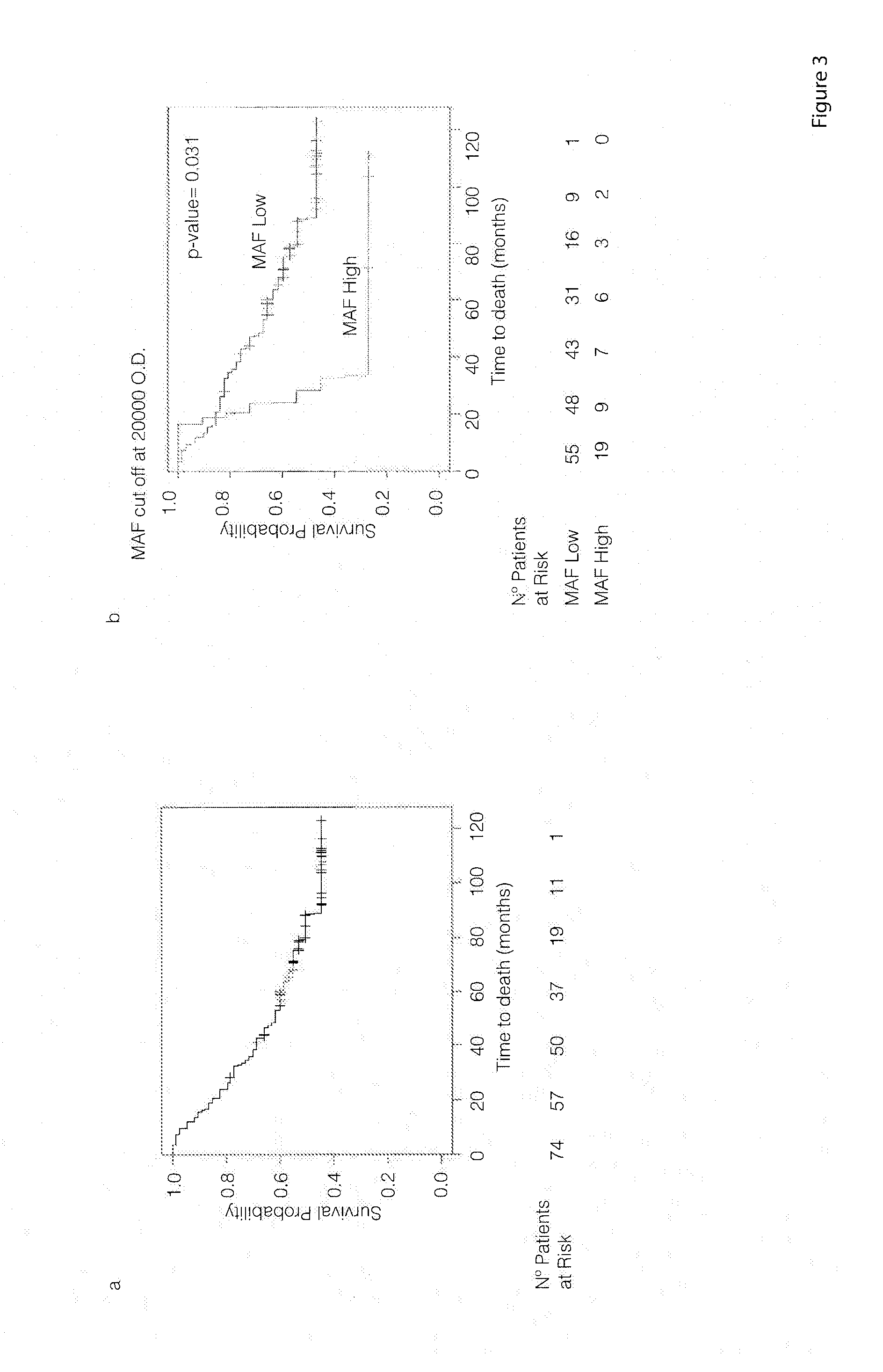 Method for the diagnosis, prognosis and treatment of lung cancer metastasis