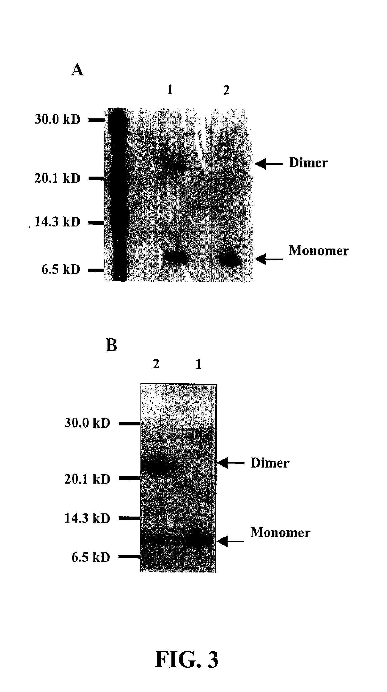 Immunomodulatory Agents For Treatment of Inflammatory Diseases