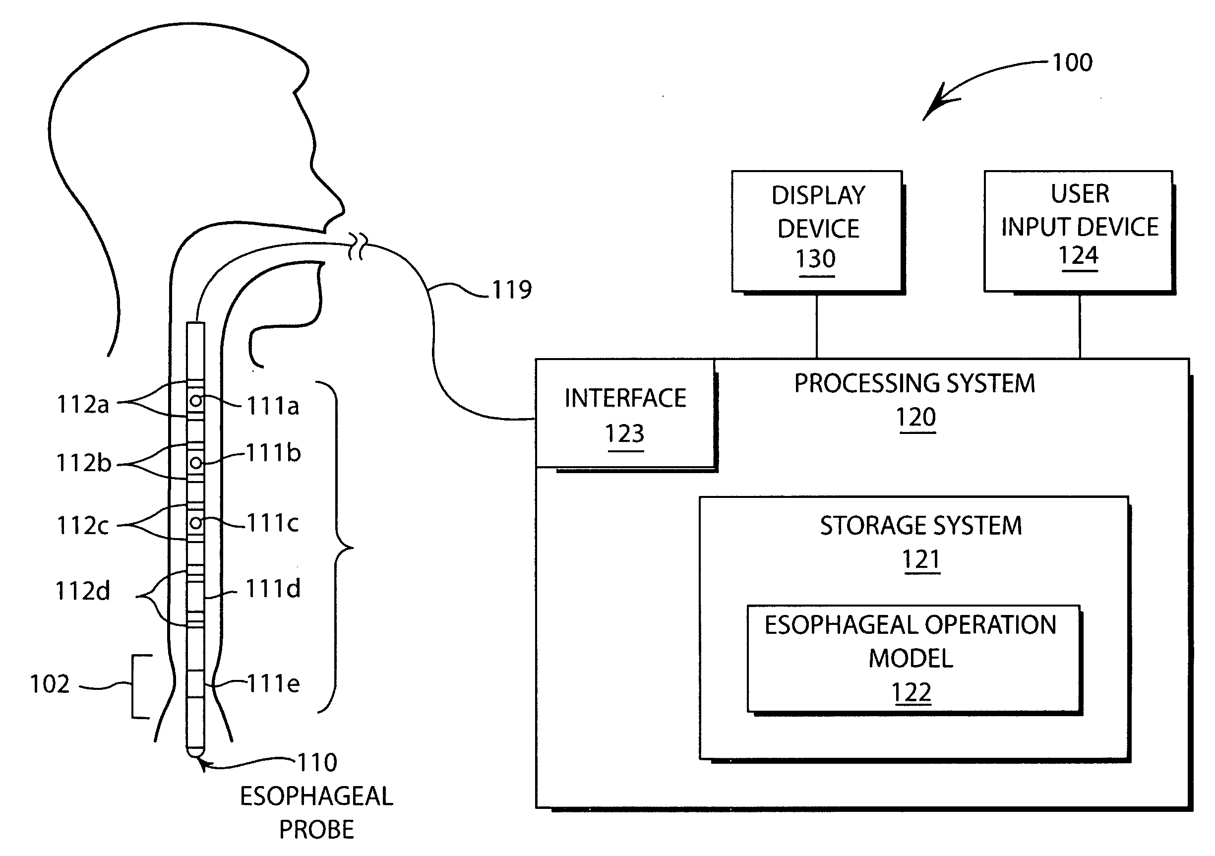 Esophageal function display and playback system and method for displaying esophageal function