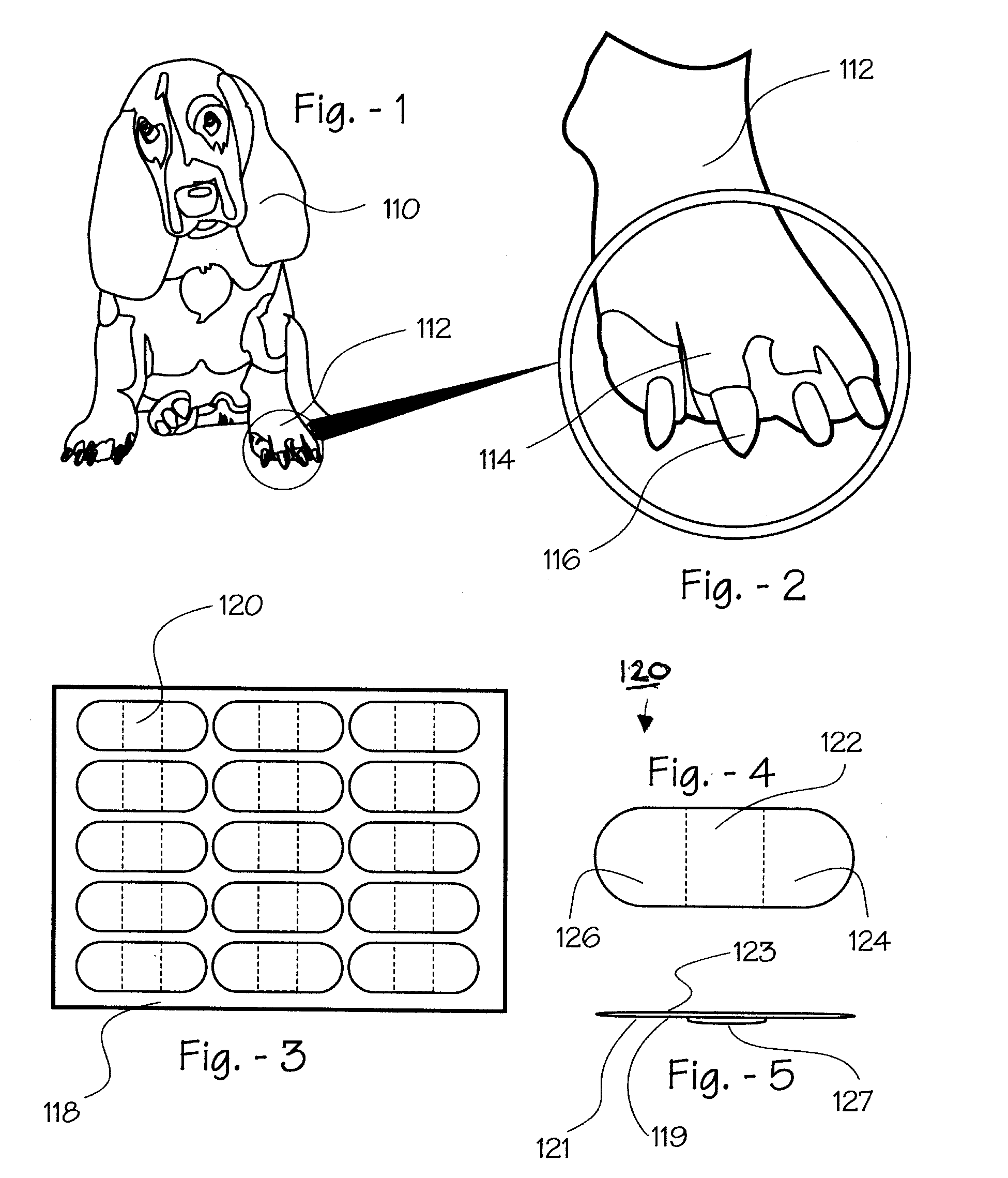 Nail dermis indicator & method of clipping nails