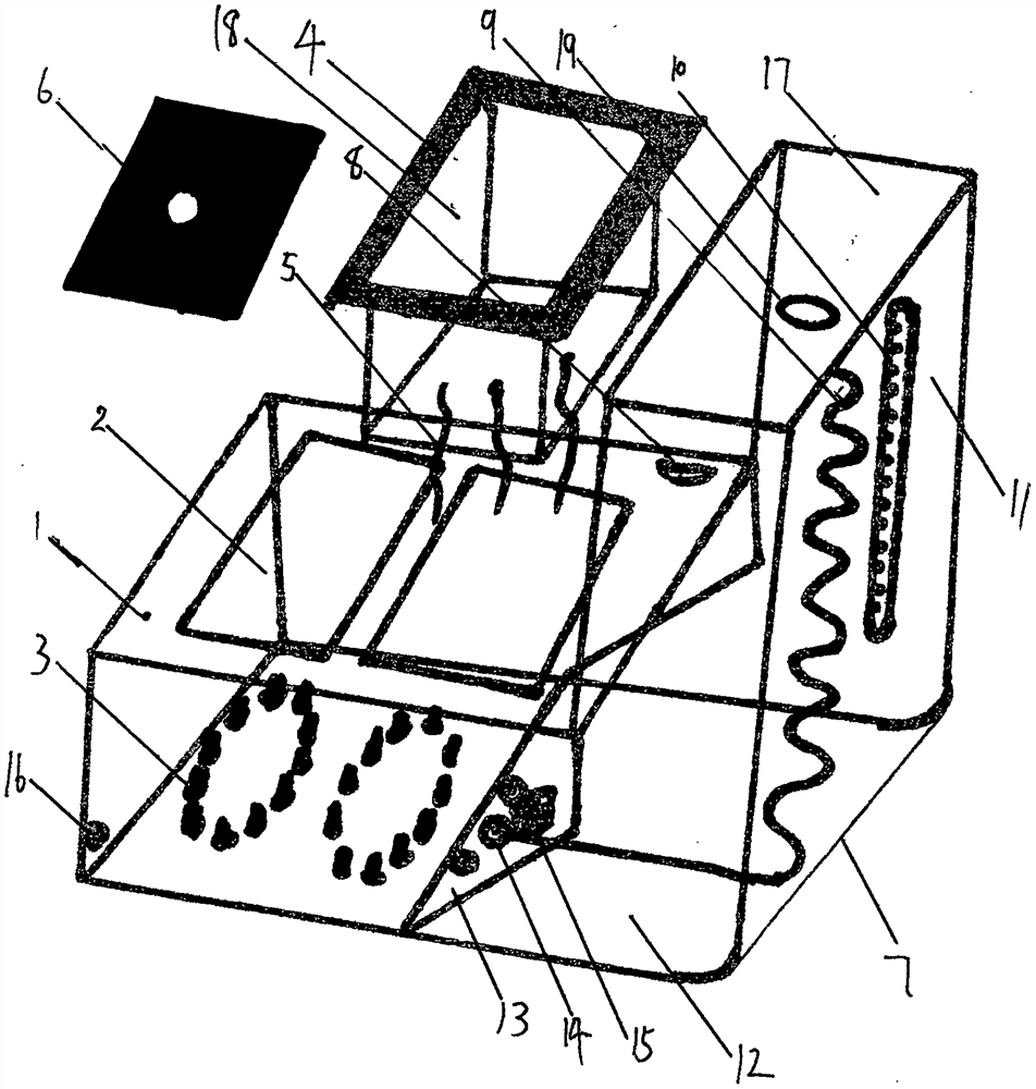 Automatic water replenishing flowerpot