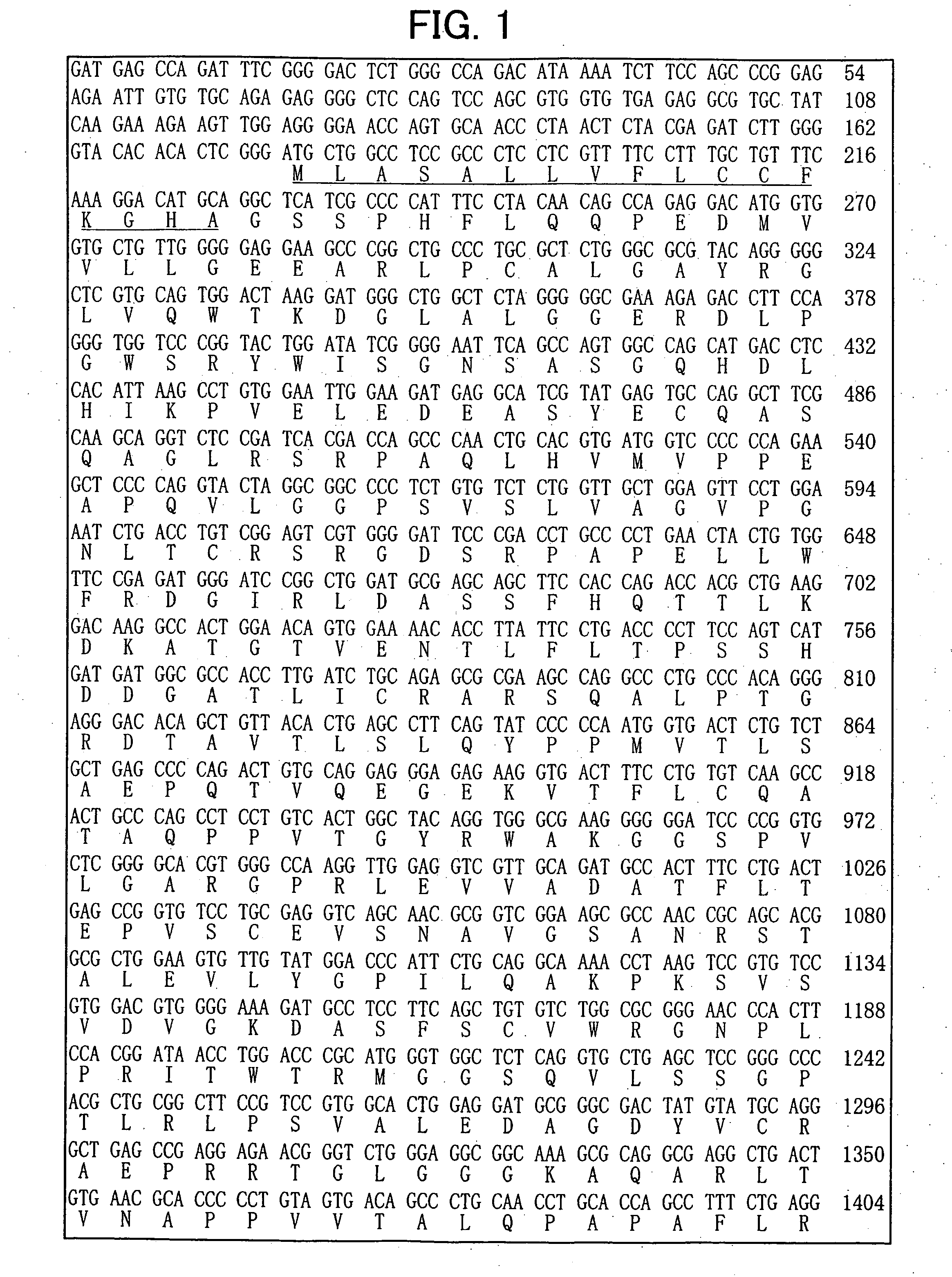 Gene expressed specifically in dopamine-producing neuron precursor cells after termination of division