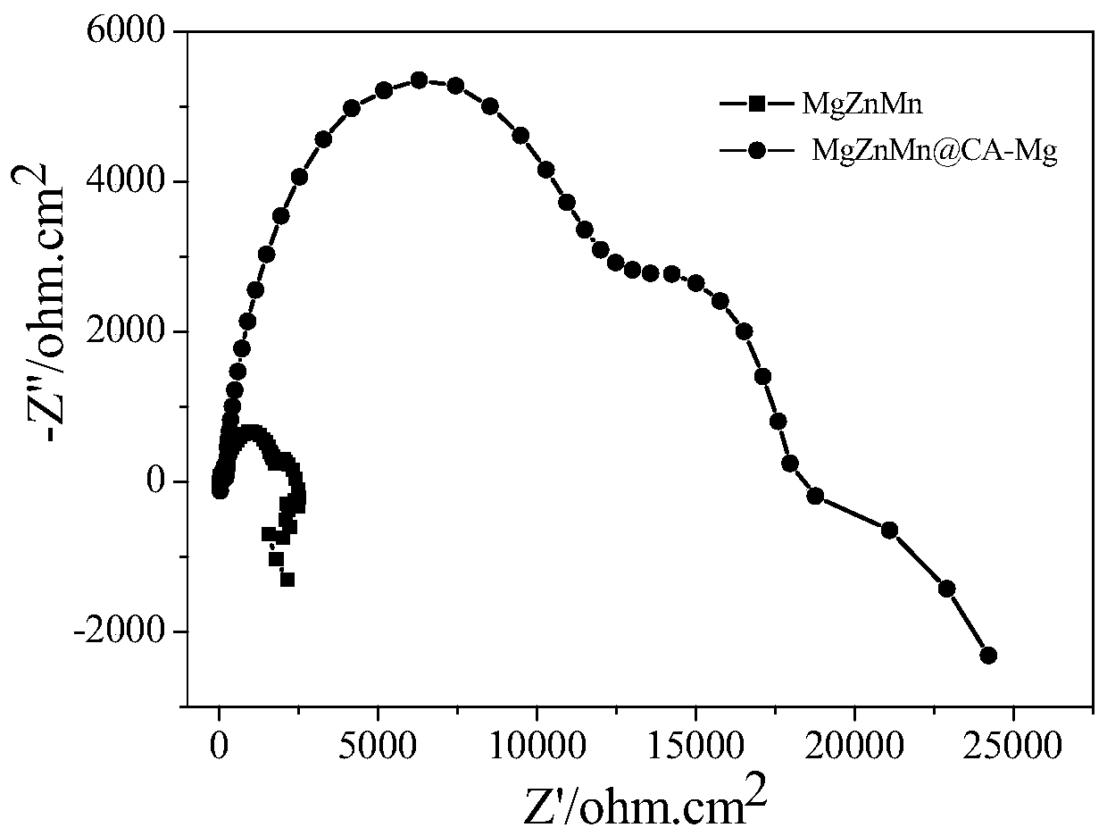 A kind of magnesium-based metal material conversion film and preparation method thereof