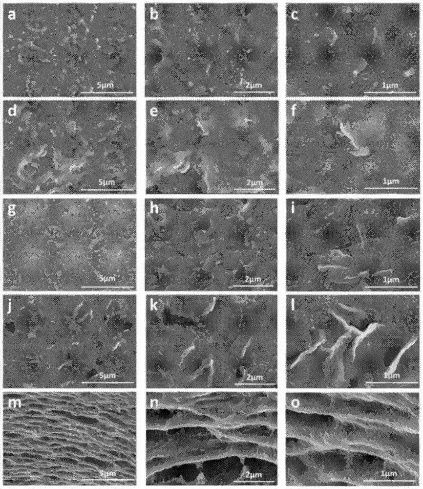 A kind of graphene/polyethylene terephthalate composite fiber and preparation method thereof