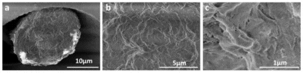 A kind of graphene/polyethylene terephthalate composite fiber and preparation method thereof