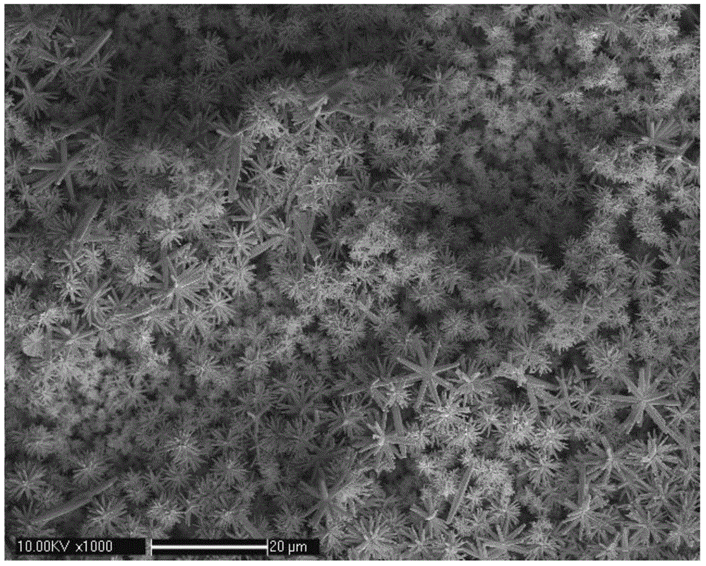 A surface enhanced Raman scattering detection chip and a preparation method thereof