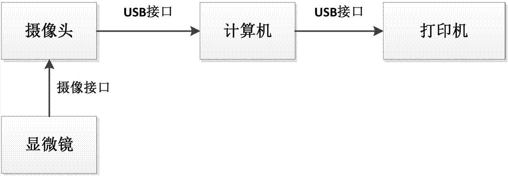 Image-analysis-based cancer cell DNA content detection method