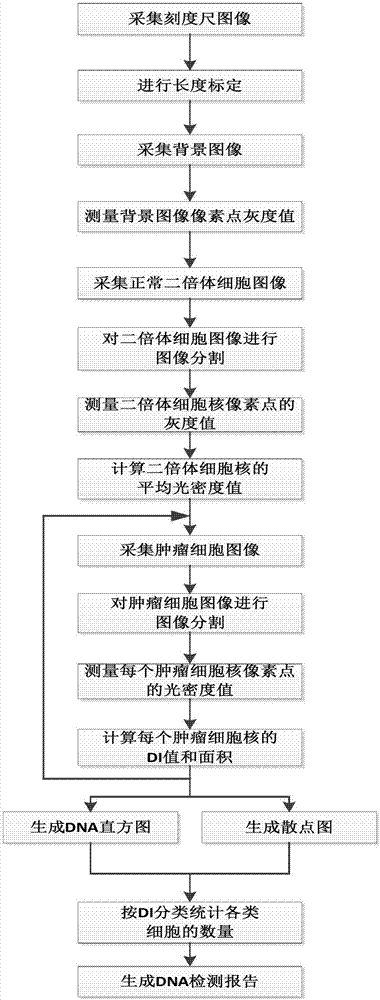 Image-analysis-based cancer cell DNA content detection method