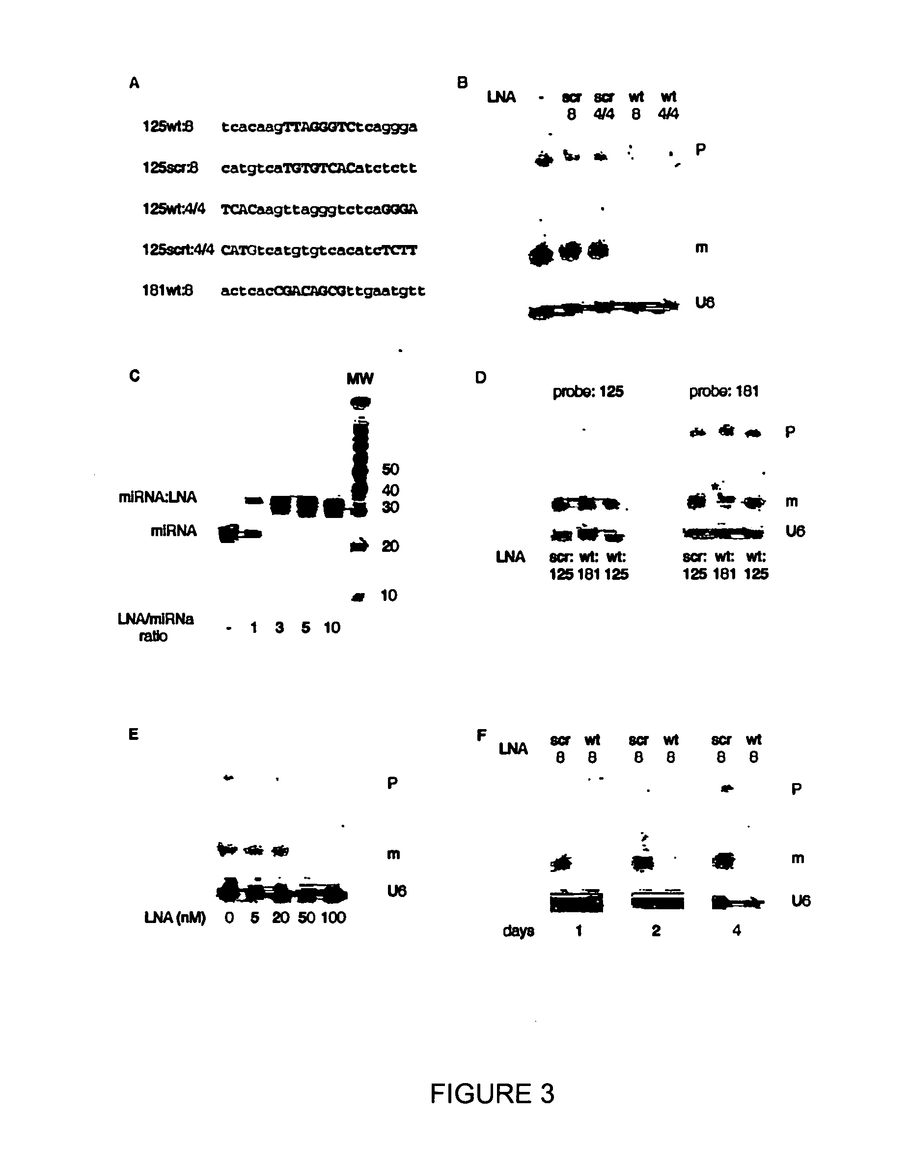 Novel oligonucleotide compositions and probe sequences useful for detection and analysis of microRNAS and their target mRNAS