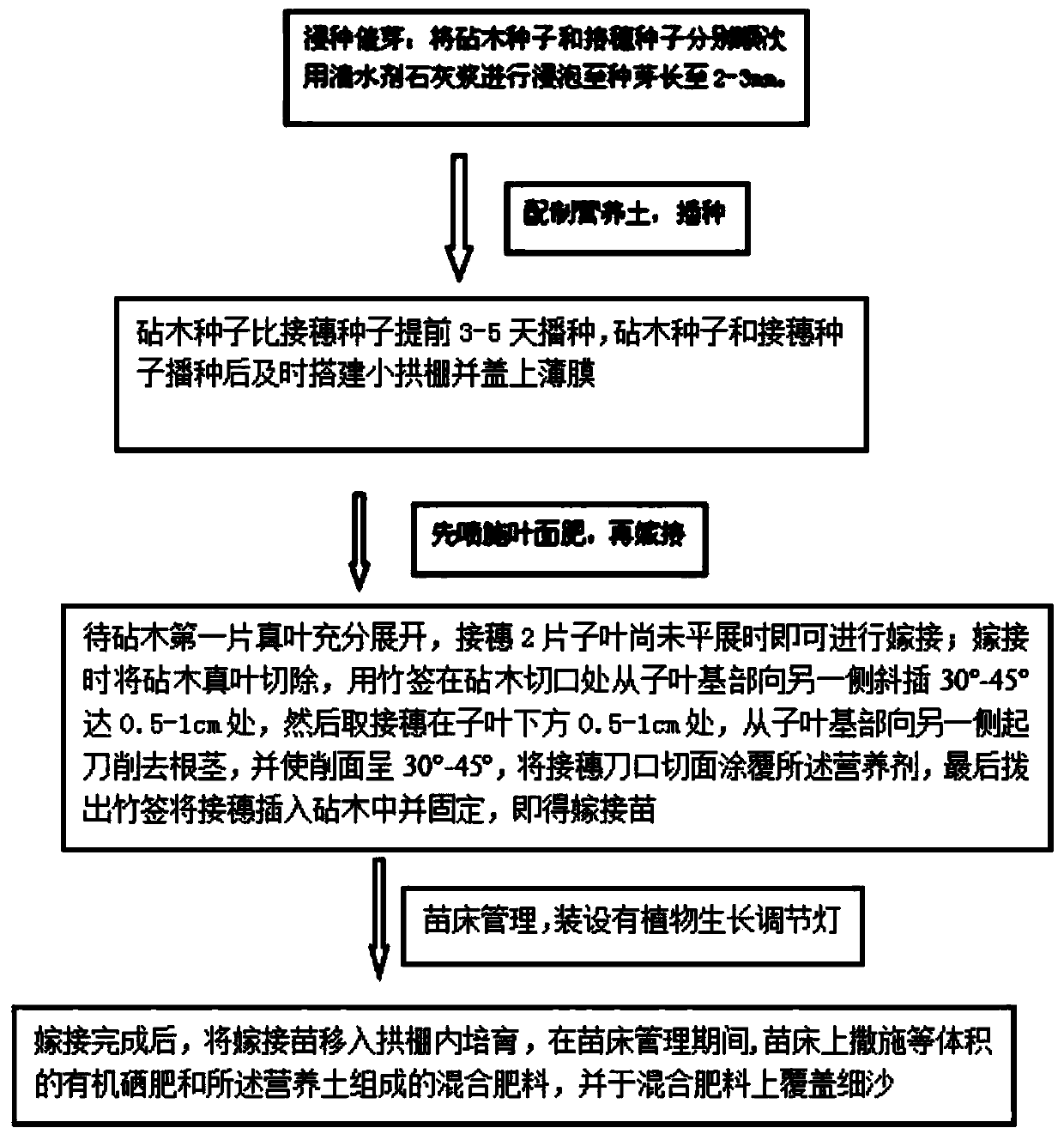 Grafting method for thin-skin muskmelons