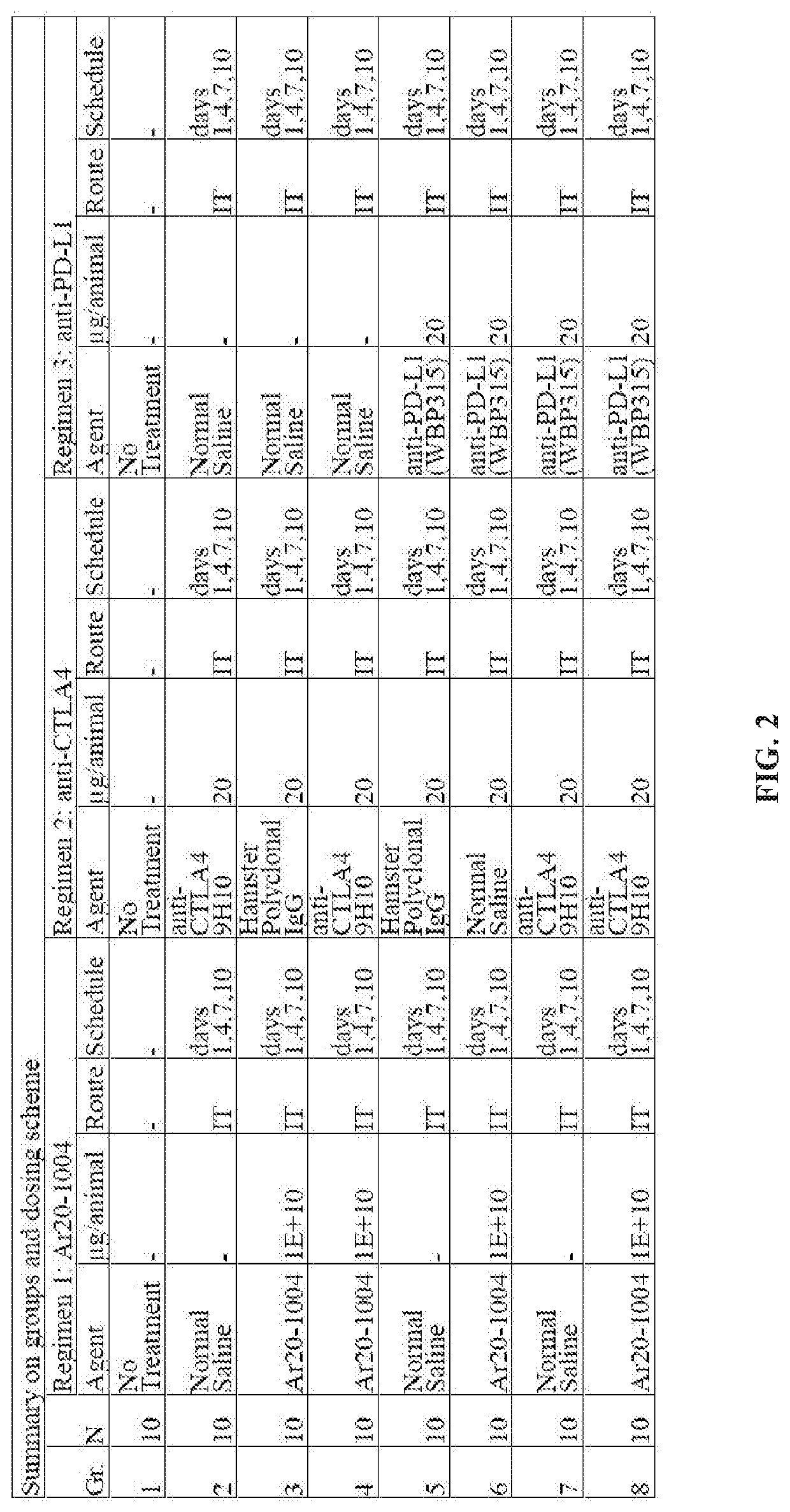 Methods of treating solid or lymphatic tumors by combination therapy