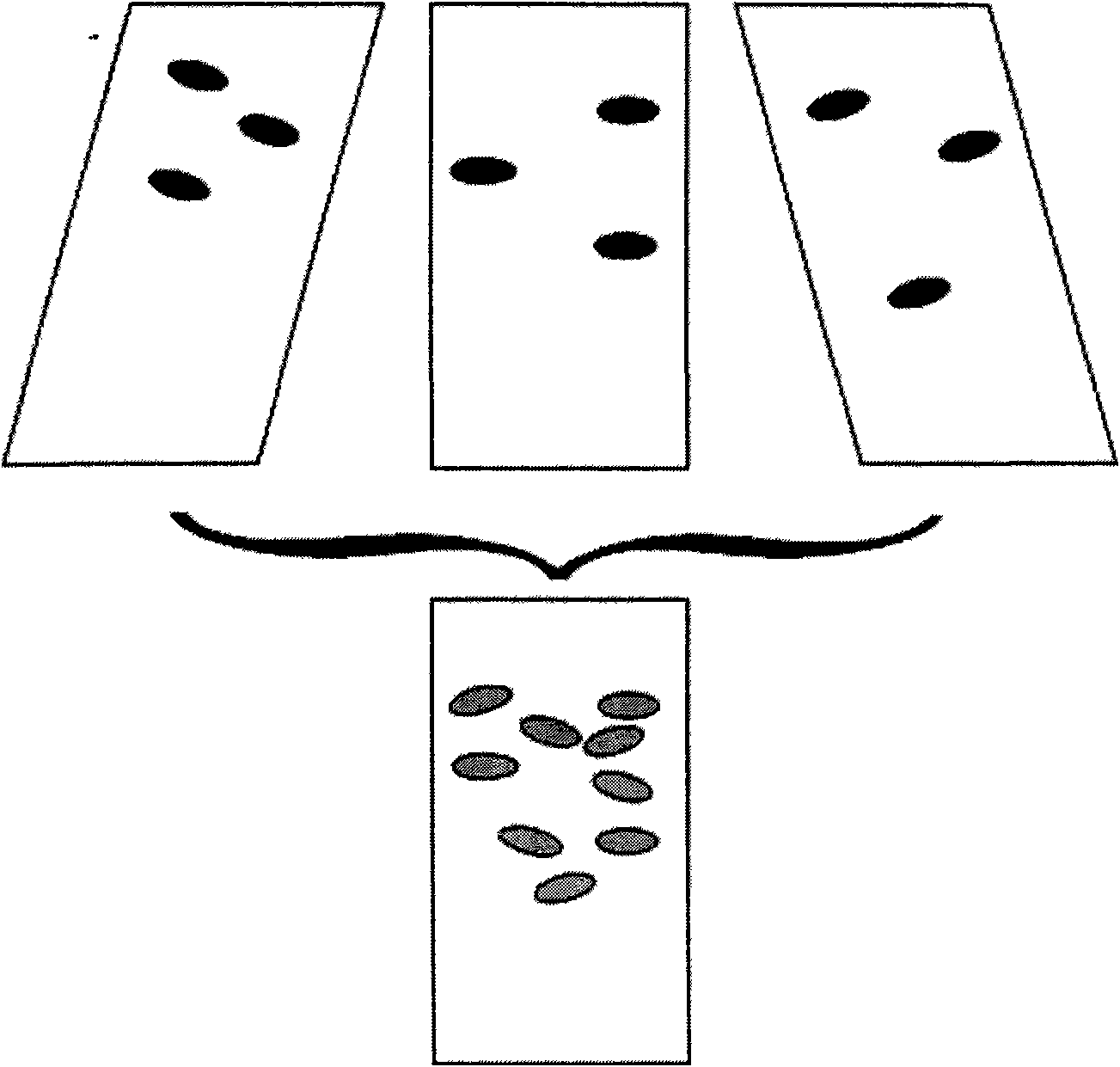 Spatial fusion method and spatial fusion device for ultrasonic imaging and ultrasonic imaging system