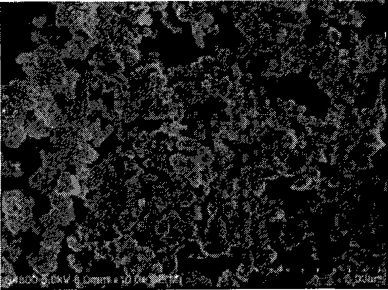 Method for manufacturing spinelle lithium titanate for lithium ionic cell cathode material