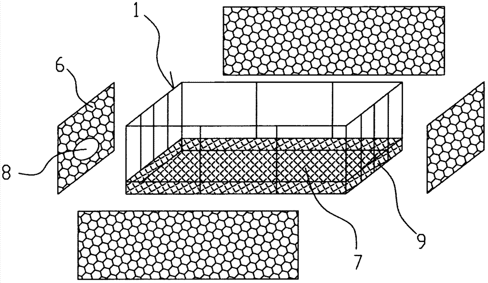 Rising-falling type hard-bottom seawater ecological farming net cage