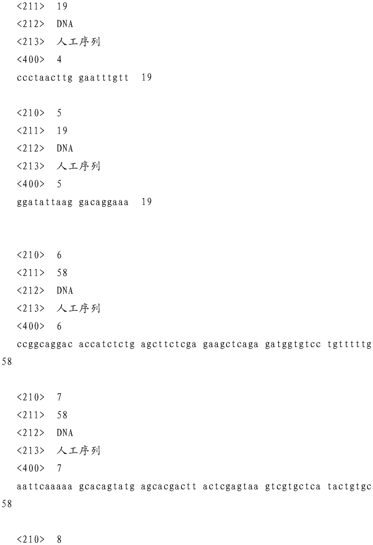 siRNA, recombinant vector and application of silencing human ran gene