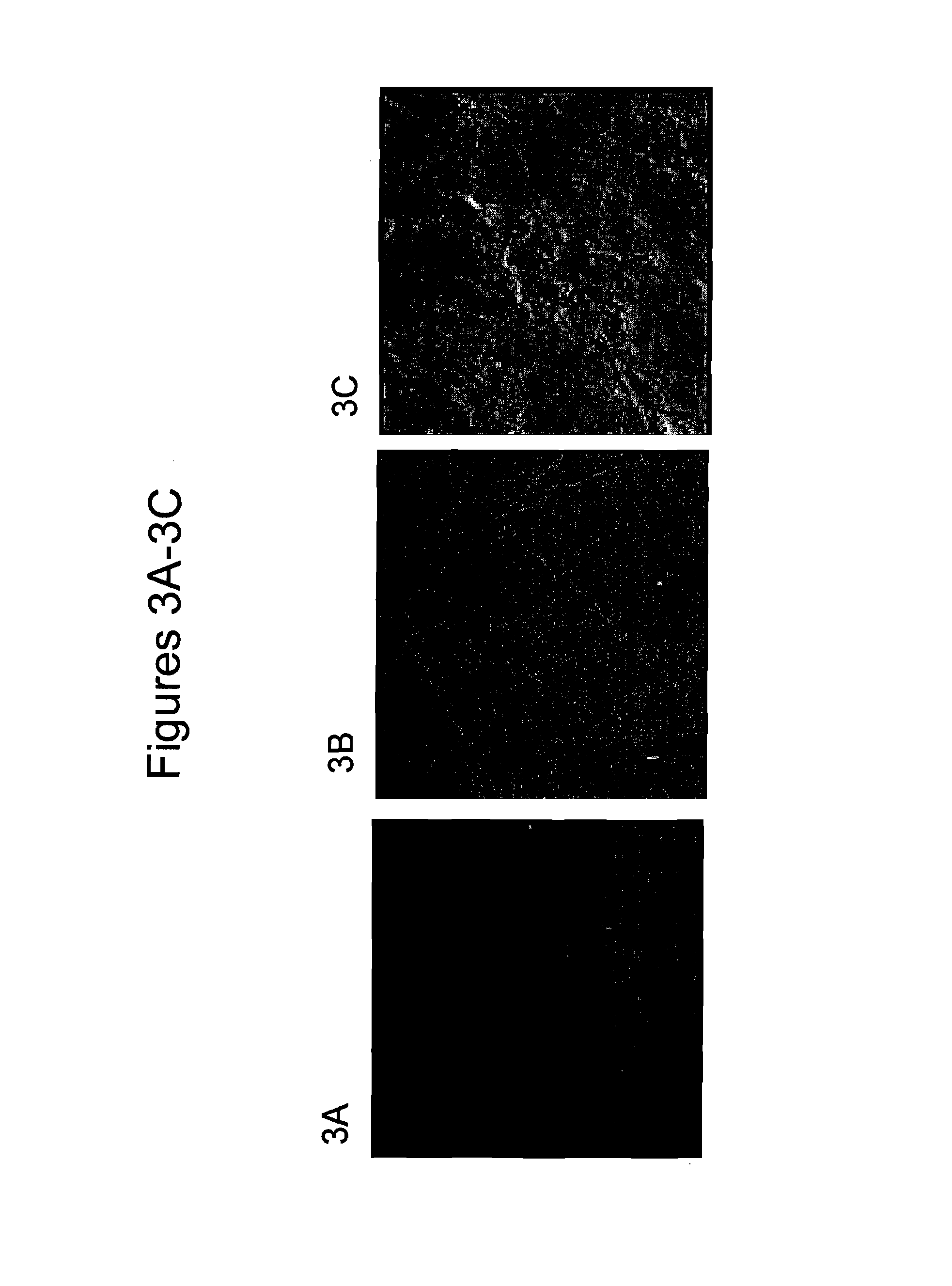 Tooth polishing compositions and methods of tooth polishing without mechanical abrasion