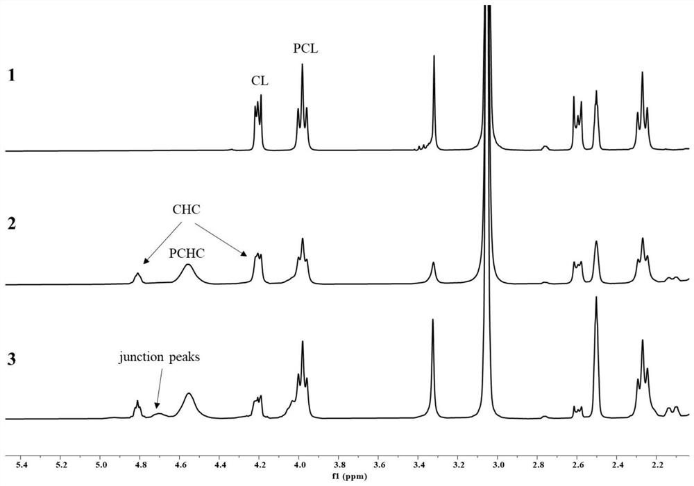 Catalytic system and synthesis method of multi-block copolymer