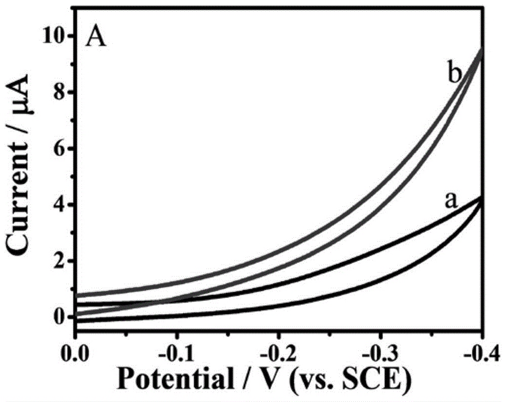 An electrochemical biosensor, its preparation method, application and detection method