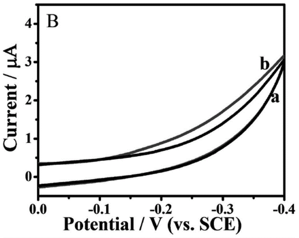 An electrochemical biosensor, its preparation method, application and detection method