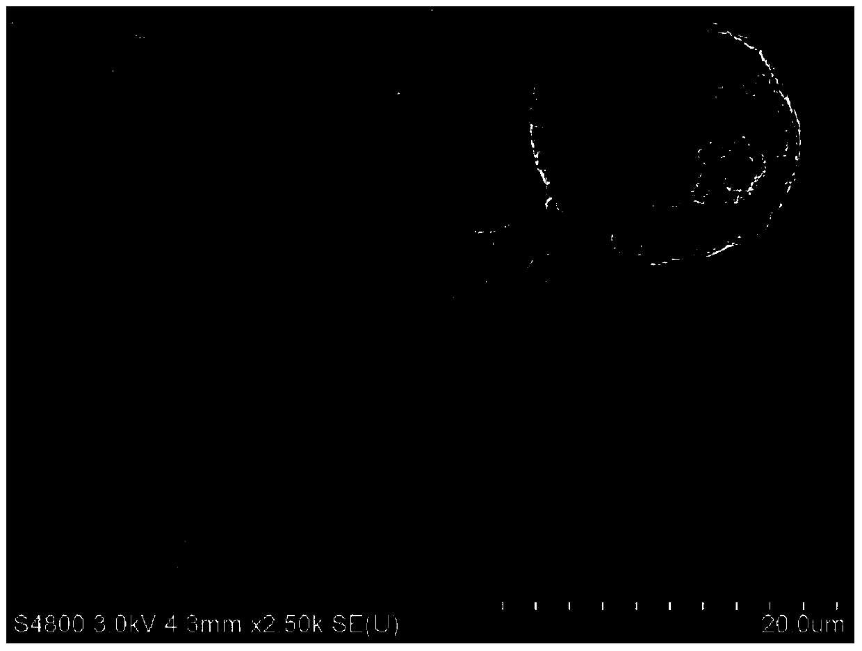 Multi-morphologic Ho/BiVO4 composite photocatalyst, and preparation method and application thereof