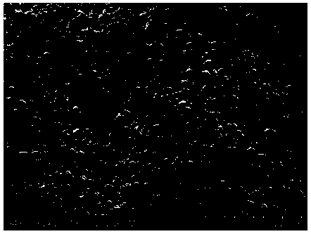 Synthesis method and application method of low-medium temperature thermal expansion microspheres