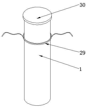 Multifunctional test pen for power distribution of power grid