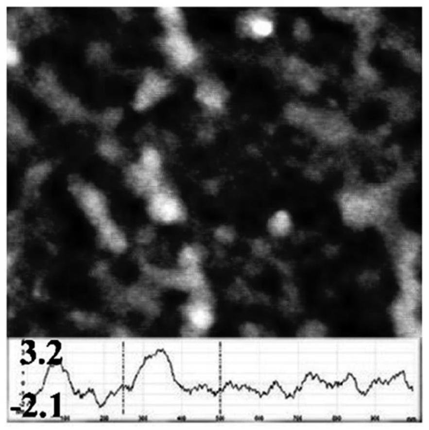 Polypeptide monolayer film with 6% primary amino group exposure and its preparation method and application