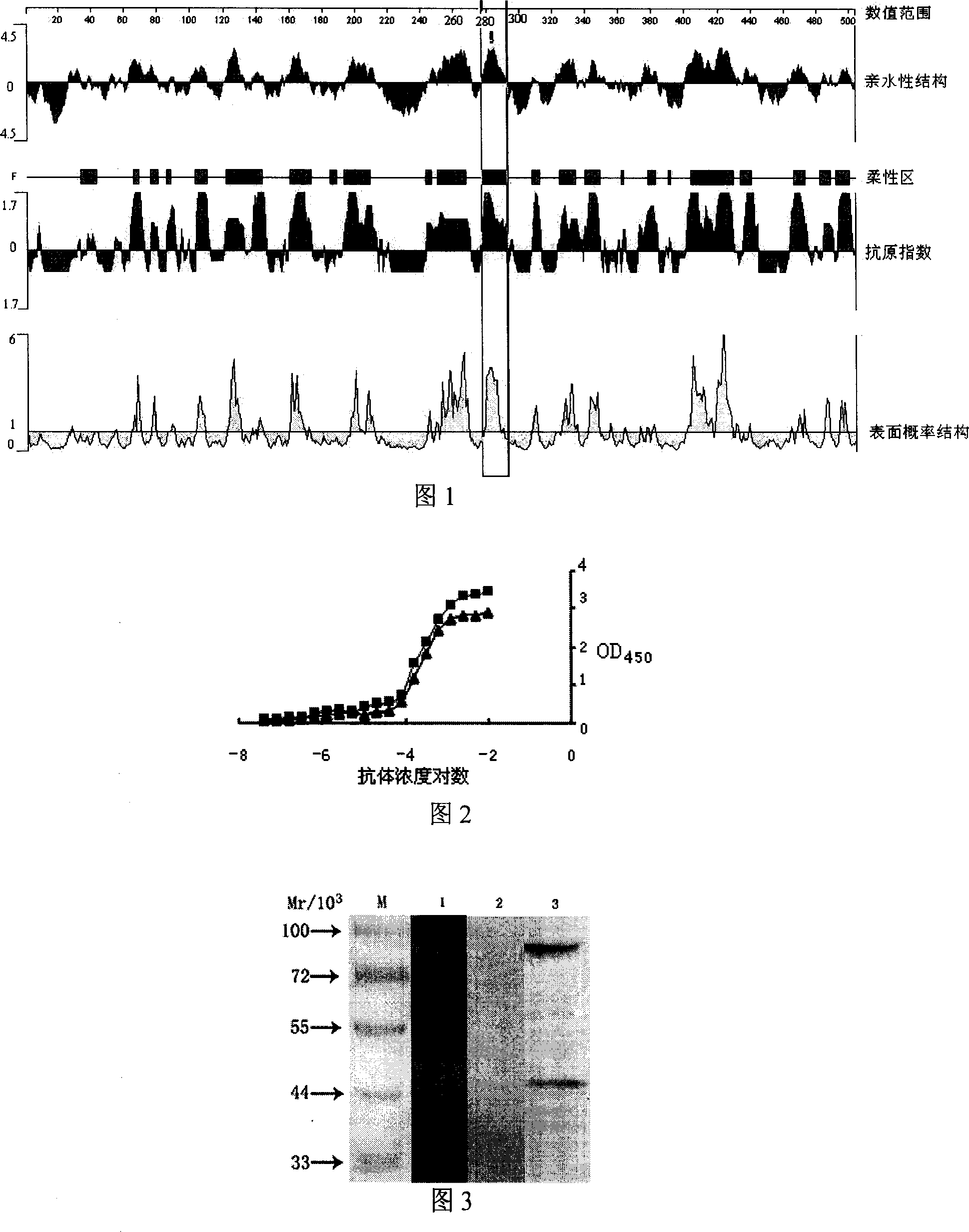 CYP3A4 polypeptide