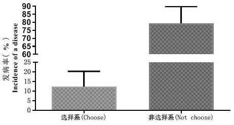 Antheraea pernyi larva low-temperature stress induced resistance breeding method