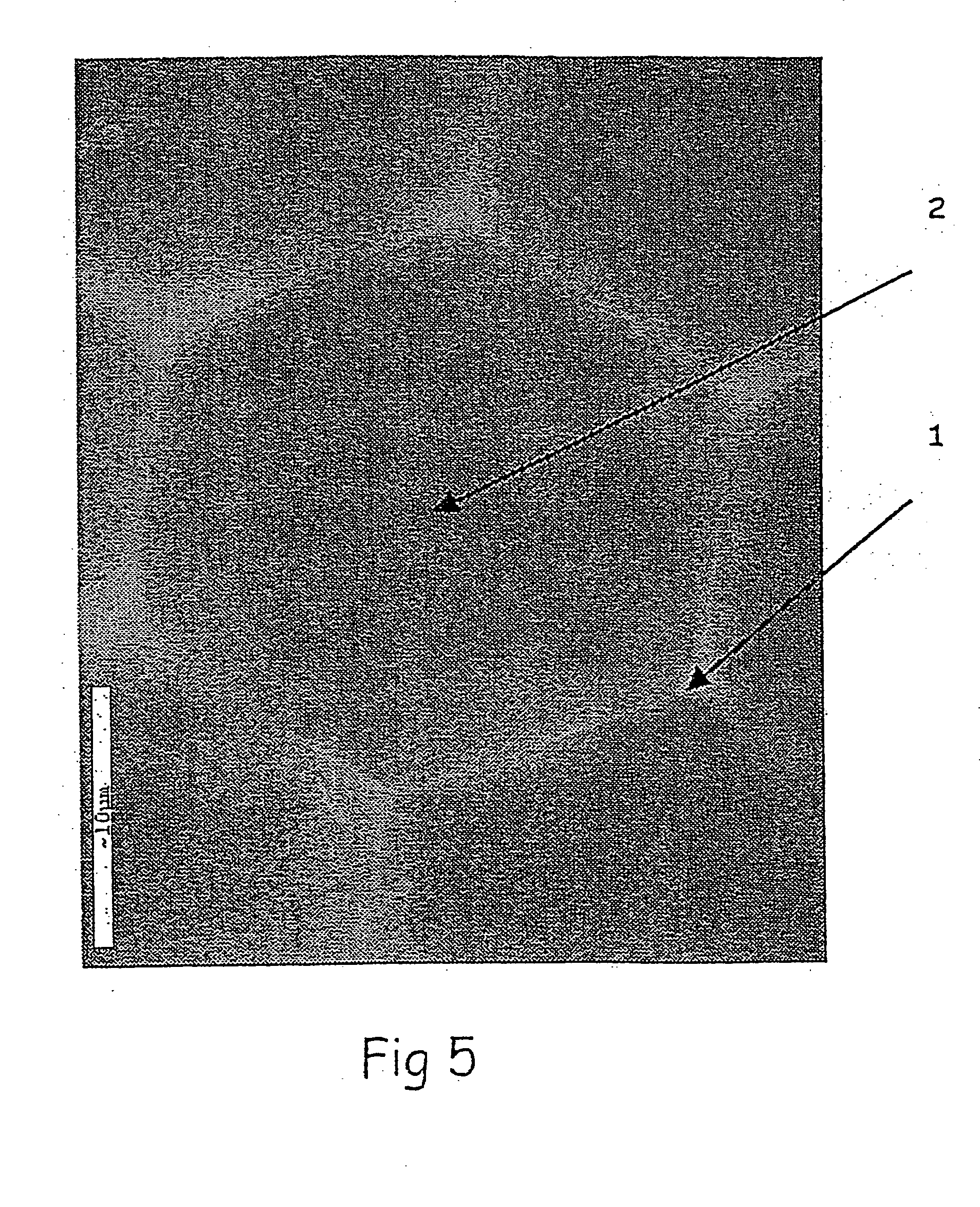 Interactive transparent individual cells biochip processor