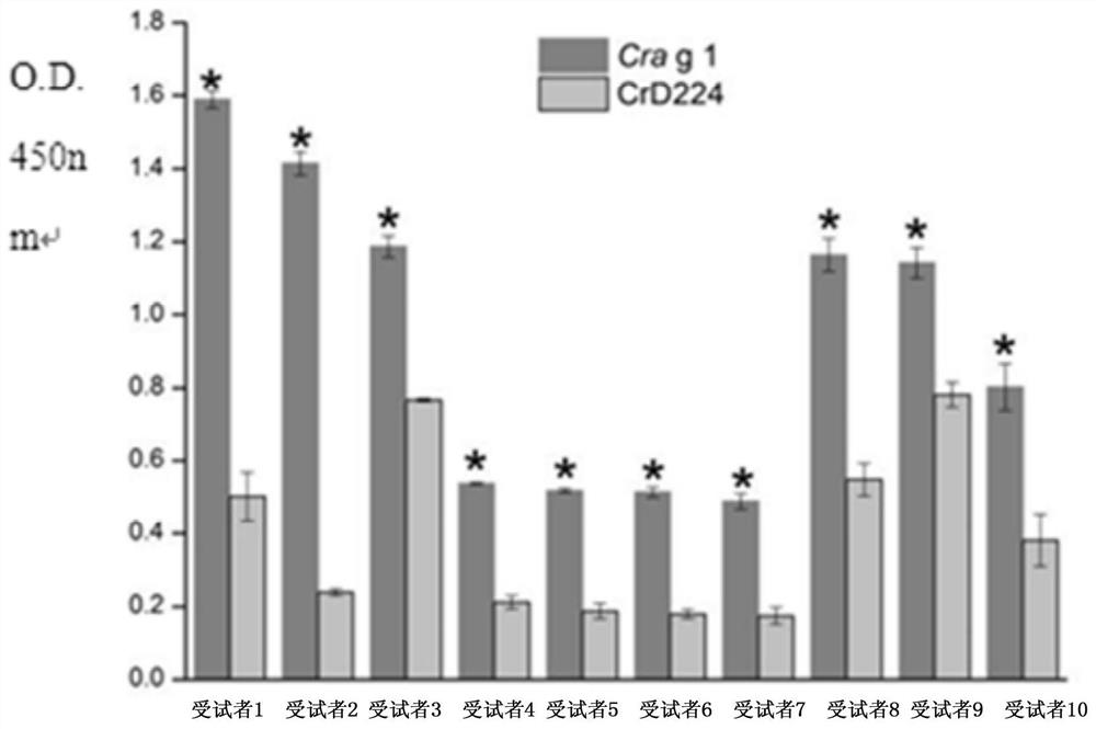 Epitope peptide of tropomyosin antigen, and application of epitope peptide