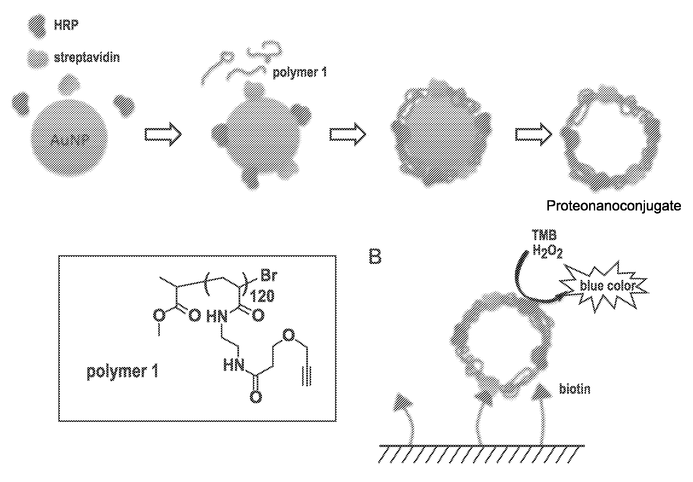 Templated nanoconjugates