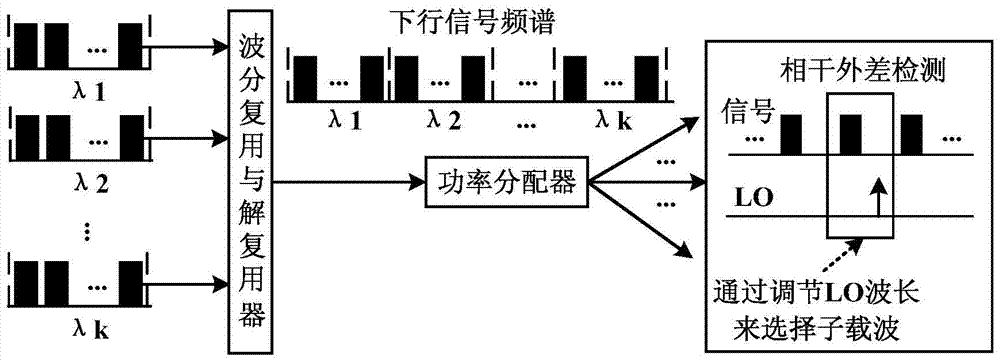 Coherent passive optical network system and signal transmission and reception method