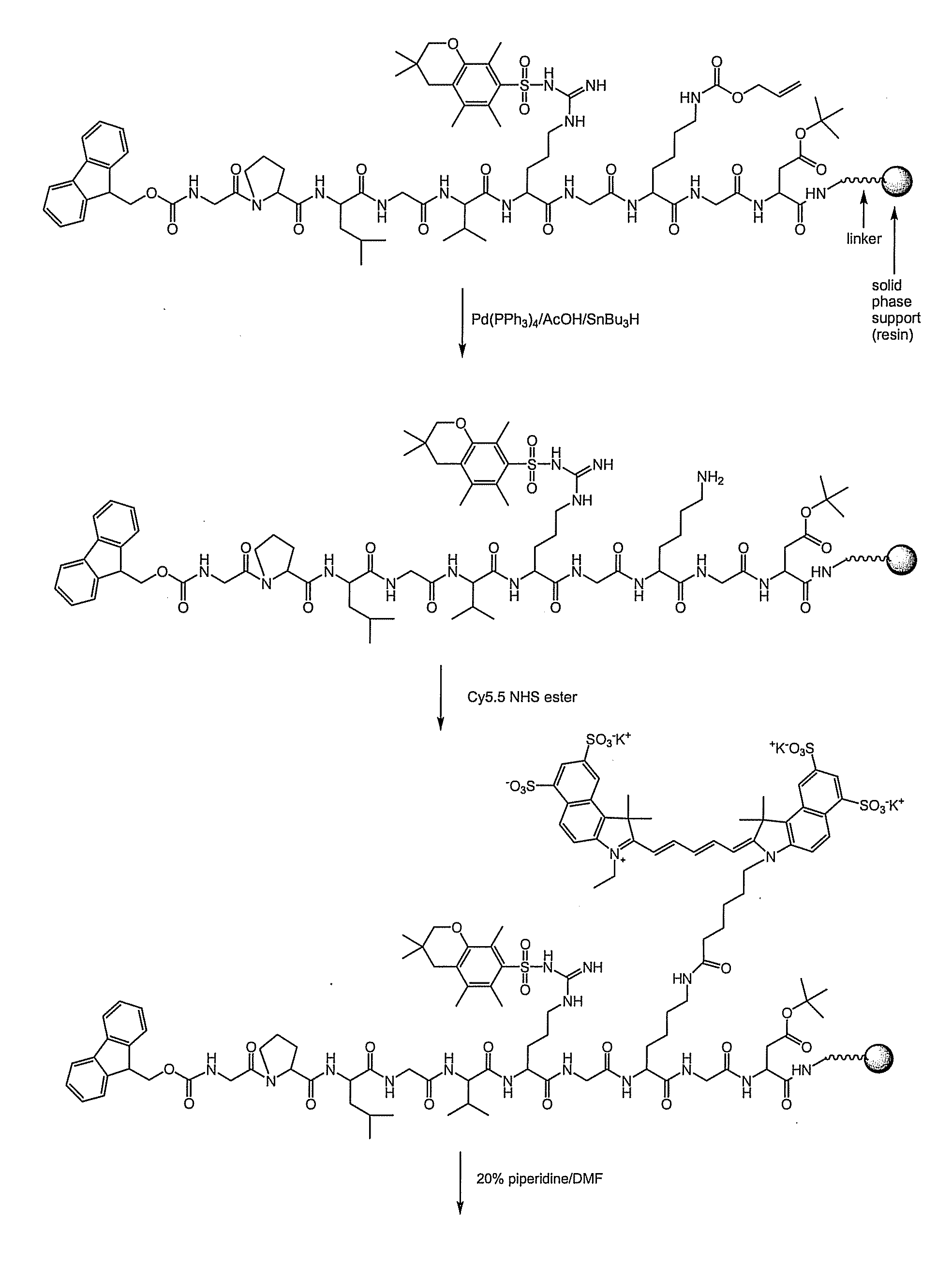 Systems and methods for high-resolution in vivo imaging of biochemical activity in a living organism