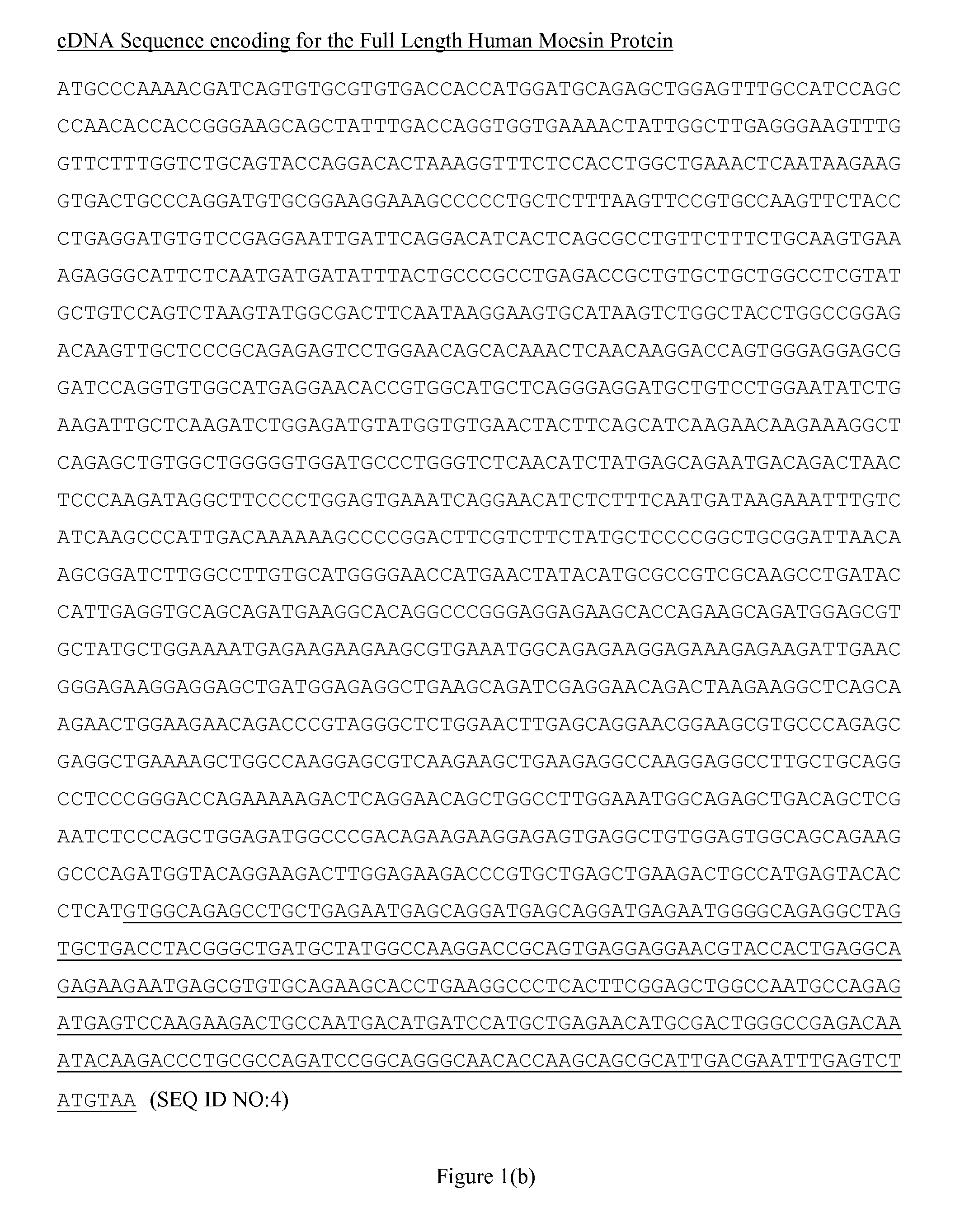 Moesin modulators and uses thereof